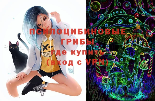 ешки Семилуки